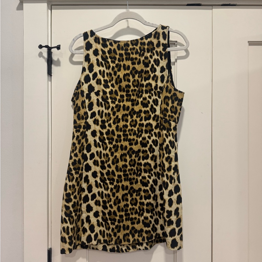 Zara Animal Print Dress